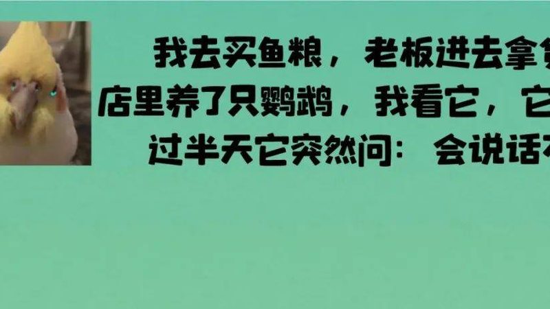 家用微辣火锅底料，如何挑选合适批发价格？**